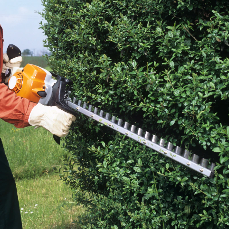 man trimming a tree